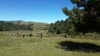/album/actividades/img-1867-jpg1/